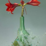 Exploding Vases1