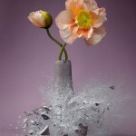 Exploding Vases3