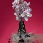 Exploding Vases5