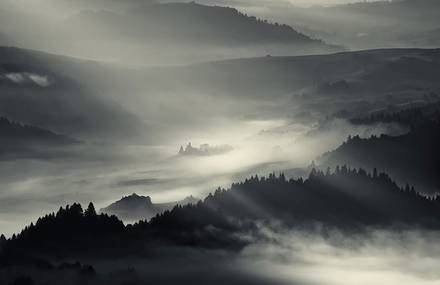 Fog Landscapes