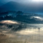Fog Landscapes5