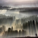 Fog Landscapes8