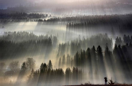 Fog Landscapes