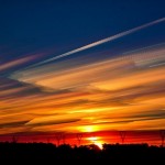 Matt Molloy6