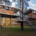 Tree House Architecture4