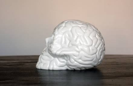 Skull Brain by Emilio Garcia