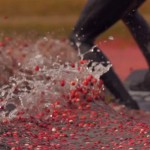 Cranberry Wakeboarding5