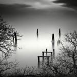 Nathan Wirth14