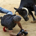 A photographer is knocked down by a wild cow during festivities in the bullring following the sixth running of the bulls of the San Fermin festival in Pamplona