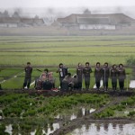 A music group performs on a path amid fields to greet the farmers at Hwanggumpyong Island