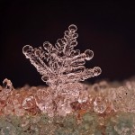 Snowflakes Macro Photography