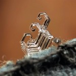 Snowflakes Macro Photography10