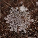 Snowflakes Macro Photography4