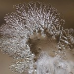 Snowflakes Macro Photography6