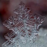 Snowflakes Macro Photography7