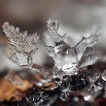 Snowflakes Macro Photography9