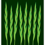 State of America Posters6