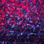 Swarovski Crystal Worlds8