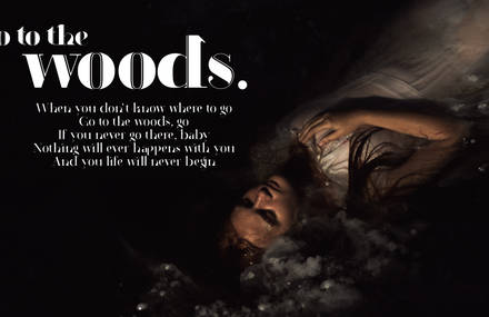 Go to the woods – indiegogo campaign