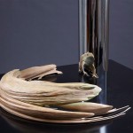 Anamorphic Sculptures9