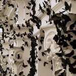 Black Paper Moths Cloud5