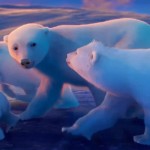 Coca-Cola - Polar Bears 20135