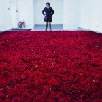 Life and Death of 10 000 Roses6