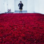 Life and Death of 10 000 Roses6