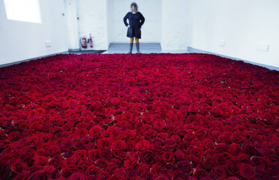 Life and Death of 10 000 Roses
