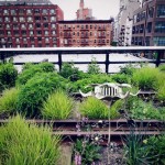 New York Biotopes