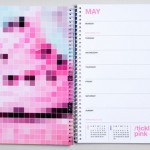 Pantone 2013 Calendar12