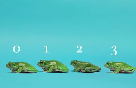 Counting Frogs for New Year