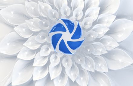 BTV Ceramic Winter Flowers | Logo Ident