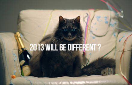 AGENCE WTF : VOEUX 2013 / WISHES 2013