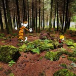 Calvin and Hobbes vs Real Life10