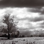 Infra Red Timelapse5