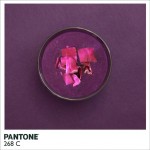 Pantone Food4