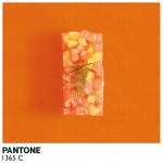 Pantone Food9