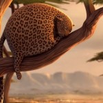 Rollin Safari Animation6
