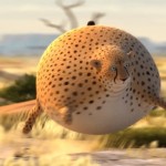 Rollin Safari Animation9