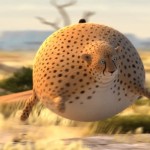 Rollin Safari Animation9