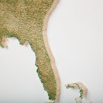 Wood Map5