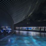 Blue Planet Aquarium12