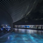 Blue Planet Aquarium12