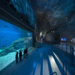 Blue Planet Aquarium14