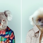 Fashion Zoo Animals4