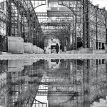 Reflections of Paris14
