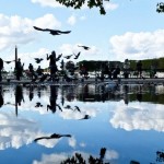 Reflections of Paris9