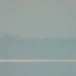 Symmetrees4