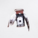 Birds of Aperture5